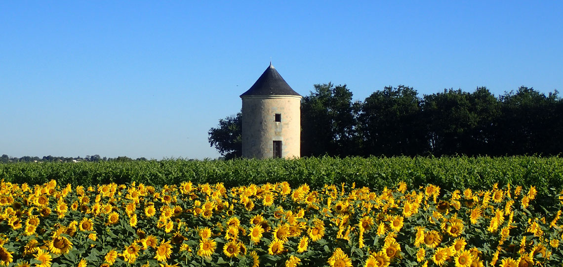 Château de Crain, au coeur de la nature